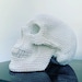 White Rhinestone Skull // Skull Decor // Handmade by Haus of Skulls - Etsy