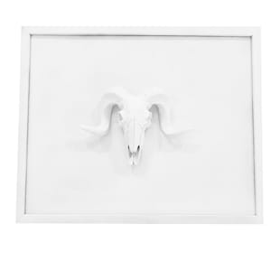 May include: White framed wall art featuring a white ceramic ram skull with large horns.