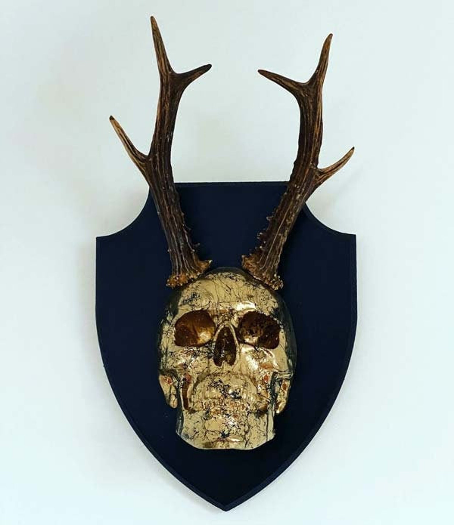 Mounted Antler Skull // Skull Decor Etsy