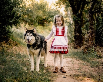 Little Red Riding Hood Inspired dress