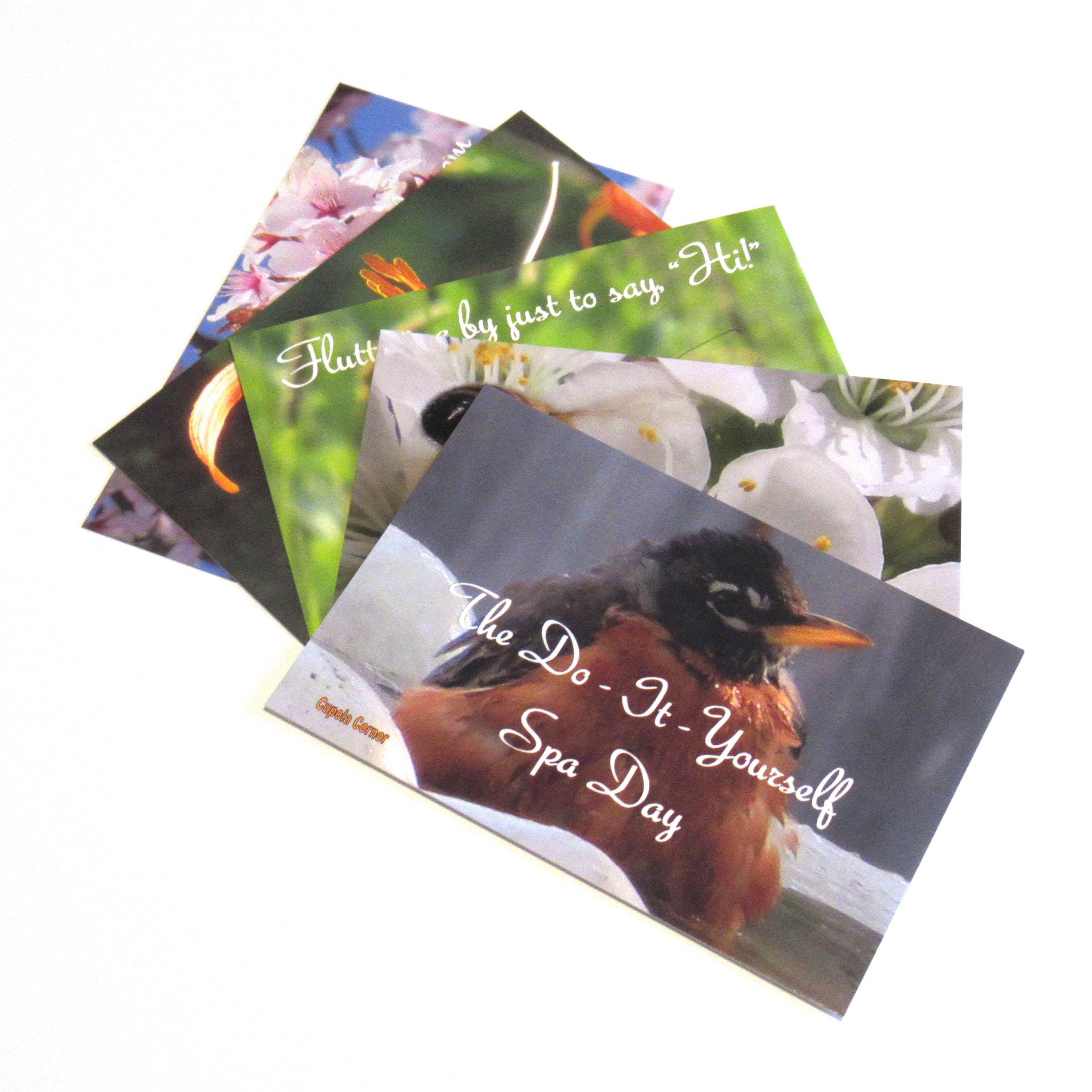 Nature POSTCARDS Set of 5 Different Photo Postcards | Etsy