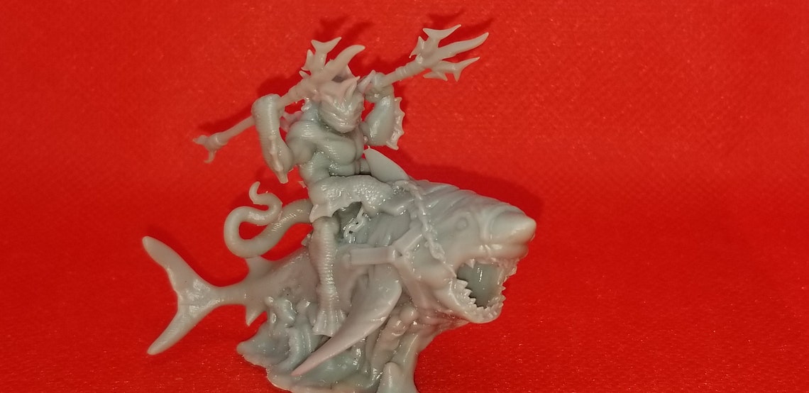 shark riding toy