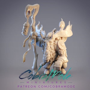 Temur, the Ariché Shaman, Reindeer Shaman Dungeons and Dragons/ RPG /Resin Miniature/Pathfinder/32mm
