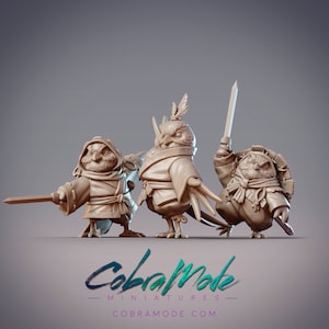 Hiina, Ishi, & Tome - Yosuzume Mercenaries, Dungeons and Dragons/ RPG /Resin Miniature/Pathfinder/32mm/54mm Bird Folk