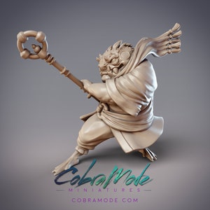 Tajima - Desert Hikiga Monk, Cobramode Dungeons and Dragons/ RPG /Resin Miniature/Pathfinder/32mm