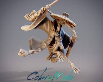 Qingshan, Fēixiān Swordsman, Crane Dungeons and Dragons/ RPG /Resin Miniature/Pathfinder/32mm