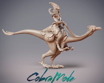 Vae’lira - Dinovian Merchant and Gallotalis Mount  Dungeons and Dragons/ RPG /Resin Miniature/Pathfinder/32mm/54mm