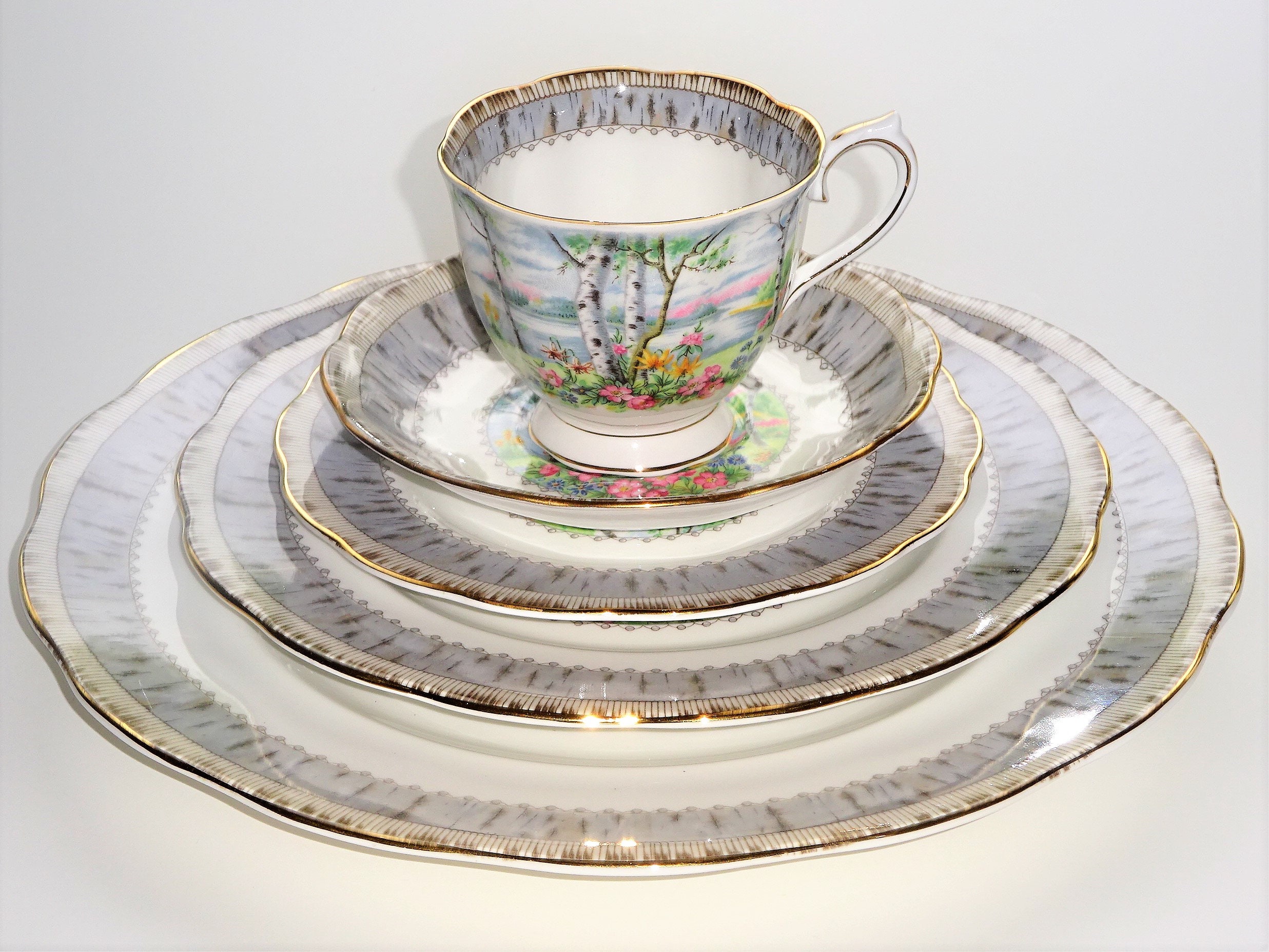 Reduced - Large Selection SILVER BIRCH Bone China by Royal