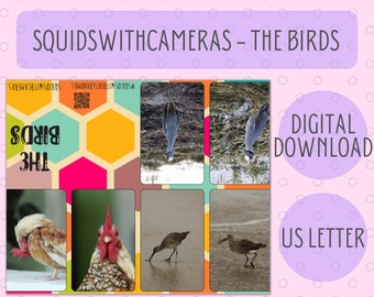 SWG The Birds, Digital Download Zine