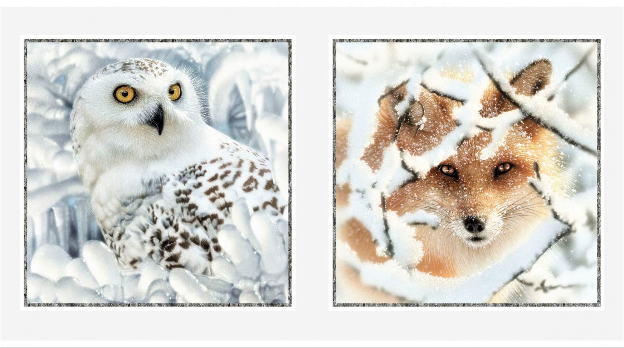 Luxe Cuddle Snowy Owl Natural Minky, Minky Fabric by The Yard, Shannon Fabrics Luxe Cuddle