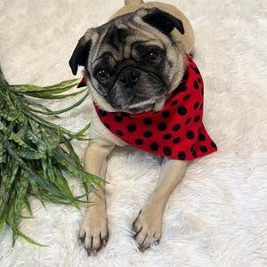 Red and Black Polka Dotted Bandana, Polka Dotted Dog Bandana, Pet Gift Clothing, Gift for Dog Owner, Gift for Dog, Dog Accessories,