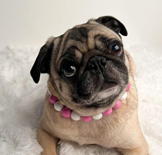 Stylish Pet Jewelry for Small Dogs, Diva Dog Necklace, Dog Jewelry