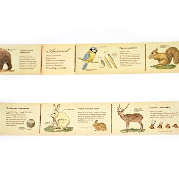 Ex MT cinta de Washi "Libro de animales".