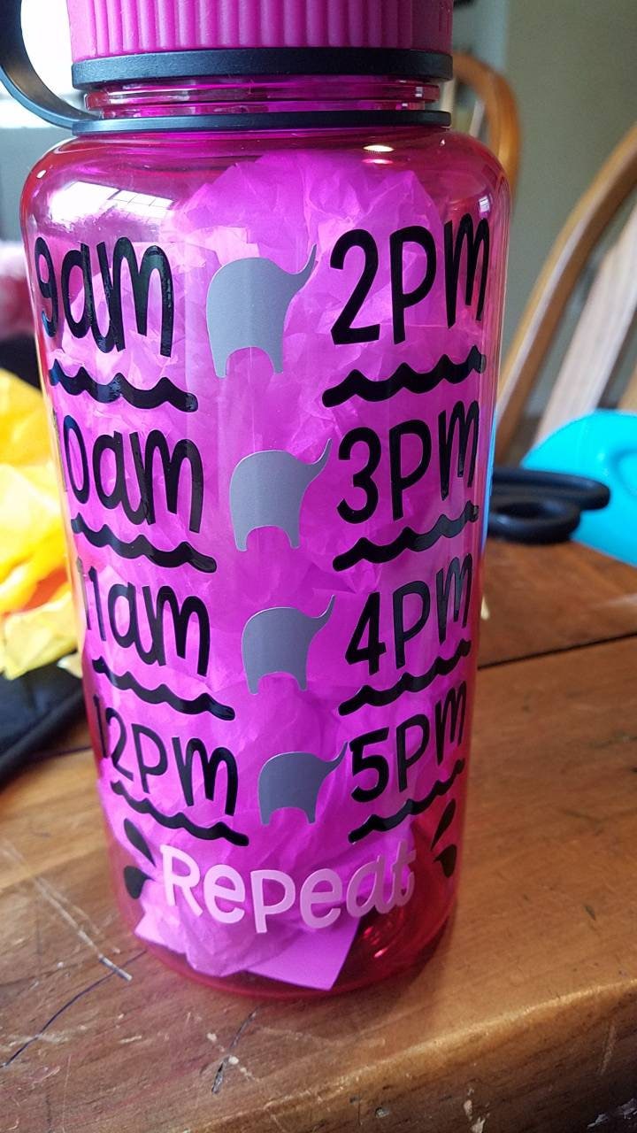 I drink a ton timed water bottle elephant water bottle 32 Etsy