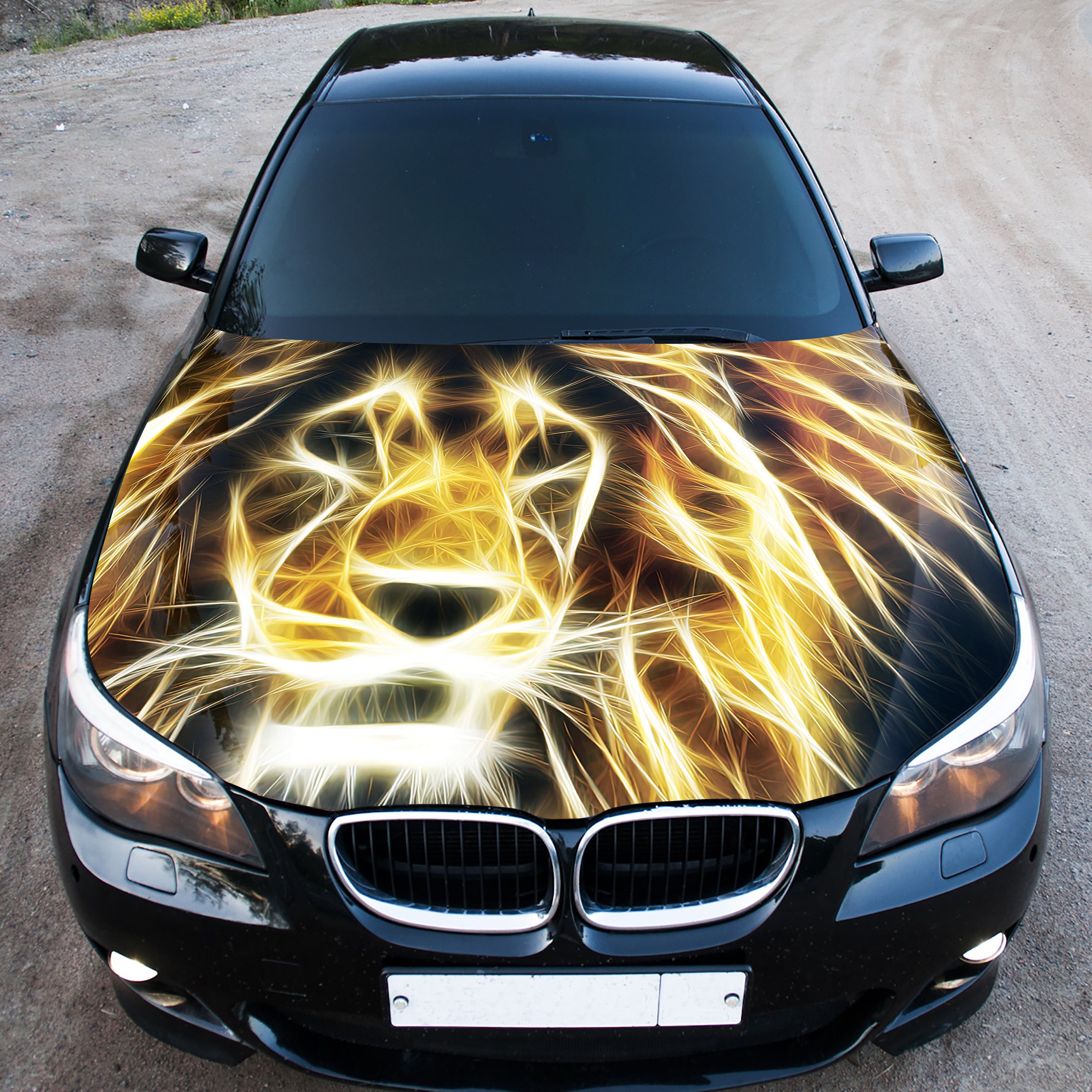 Lion Abstract Car Hood Wrap, Hood Wrap for Cars, Car Hood
