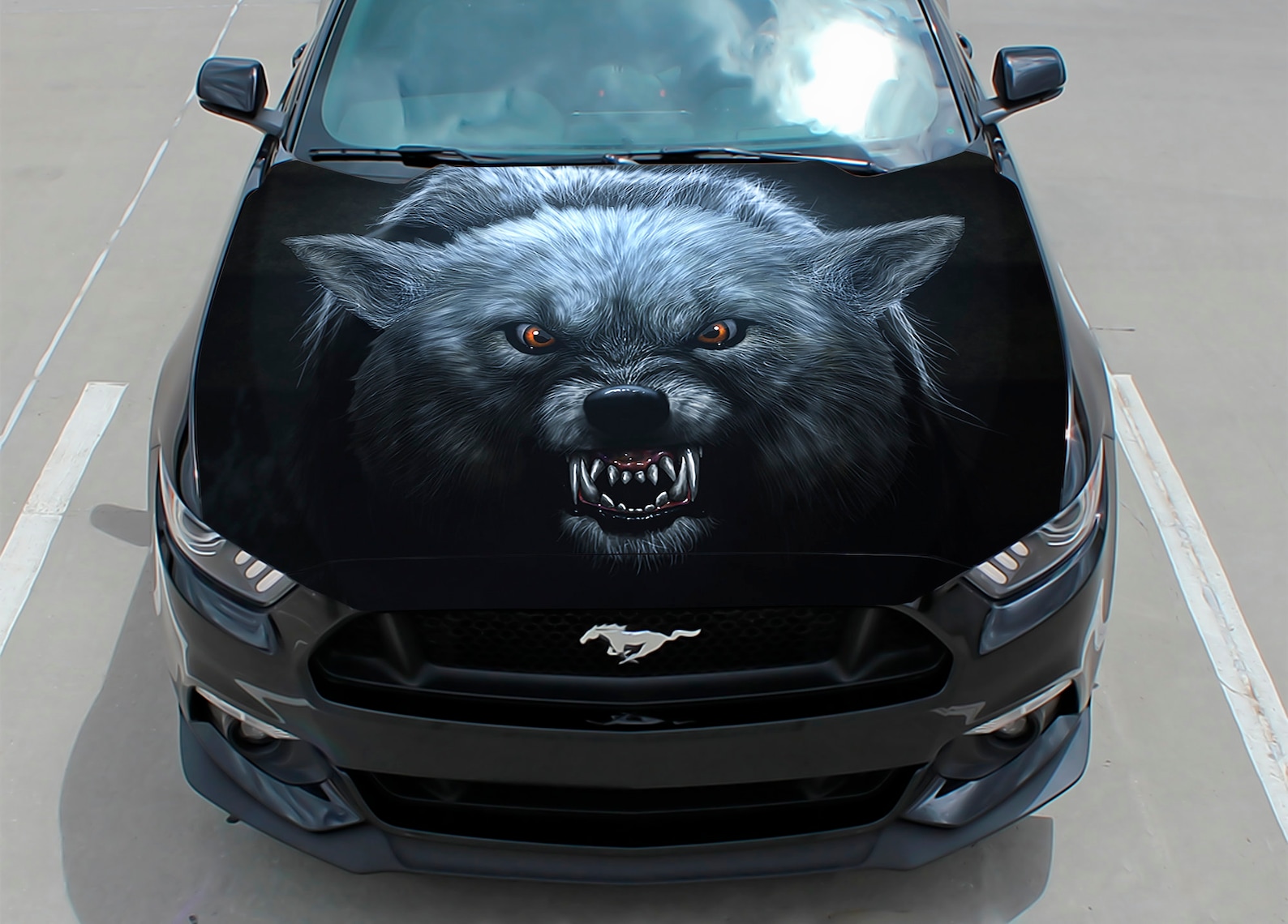Car Hood Decal Wrap Decal Vinyl Sticker Wolf Angry Etsy