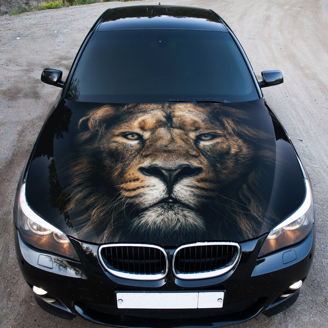 Lion Car Hood Wrap, Car Hood Decal, Car Hood Sticker, Hood Wrap for