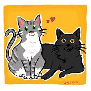 Hand Drawn Pet Portraits