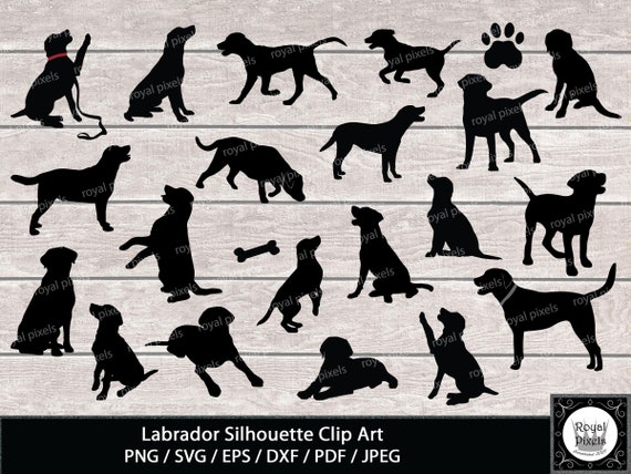 Download Labrador Silhouette Clip Art Dog Silhouettes Pet Clip Art 7 Etsy