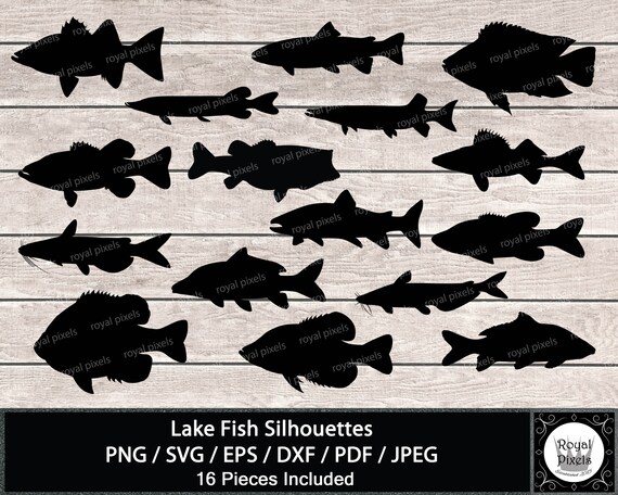 Download Lake Fish Silhouette Clip Art Trout Catfish Bluegill Tilapia Crappie Commercial Use Instant Download Svg Png