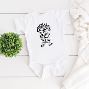 dachshund baby grow