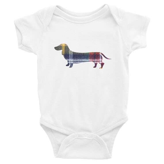 dachshund baby grow
