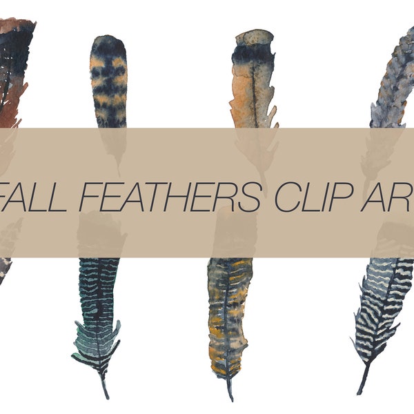 Watercolor Fall Turkey Feathers Digital Instant Download Commercial Use Feathers Clip Art