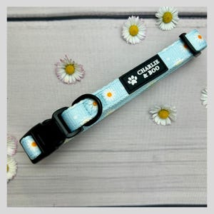 May include: A light blue dog collar with a white daisy print and black buckle. The collar has a black label with the text "CHARLIE & BOO" and a paw print.