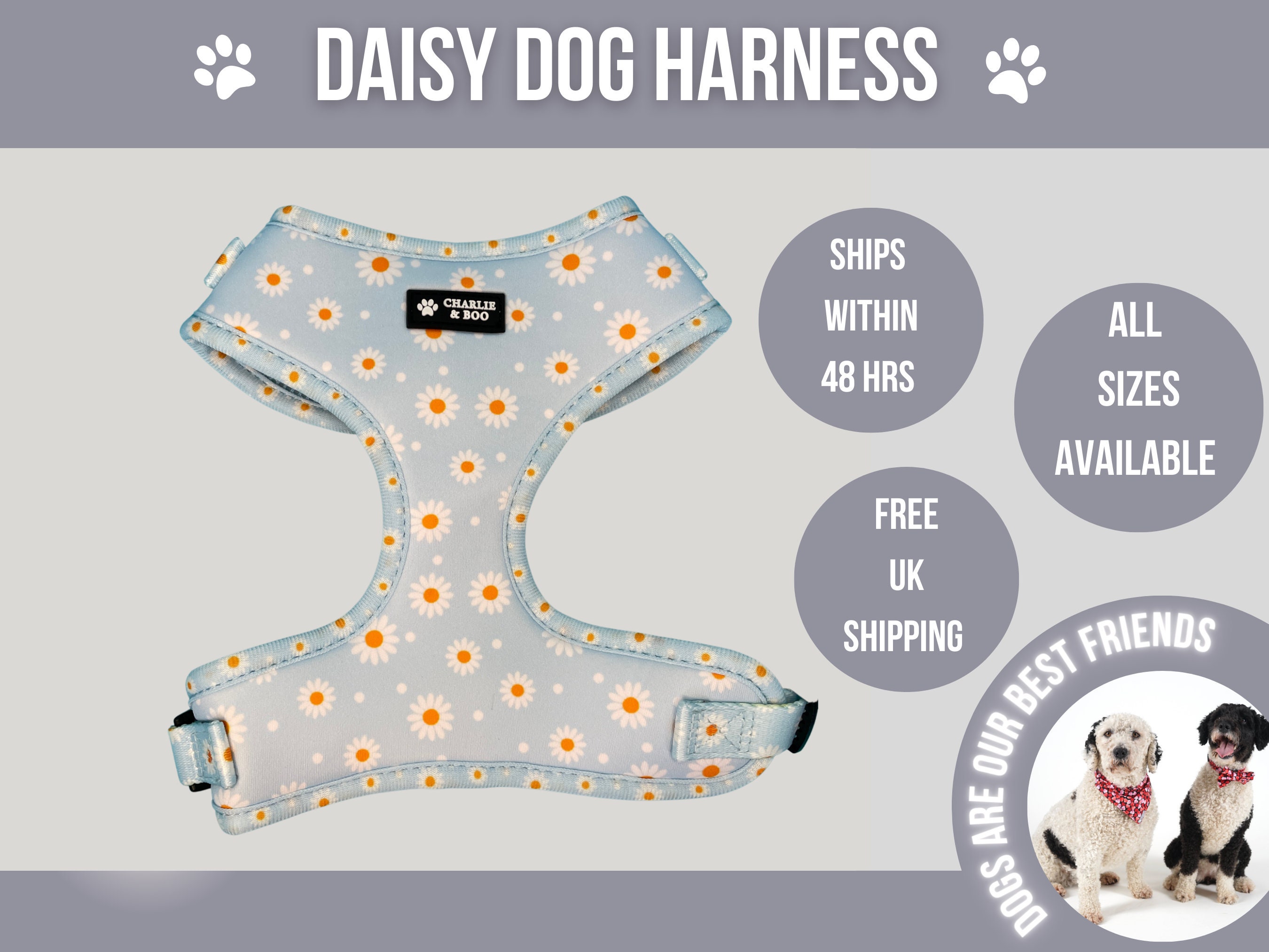 Floral Dog Harness Daisy Dog Harness Blue Dog Harness Blue
