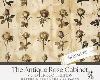 Conjunto de Papéis e Efêmeros para Diário de Sucata com Tema de Armário de Rosas Antigas | Kit Imprimível de Jardim Vitoriano (Download Digital)