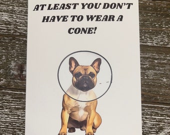 At least You Don’t Have to Wear A Cone Greeting Card