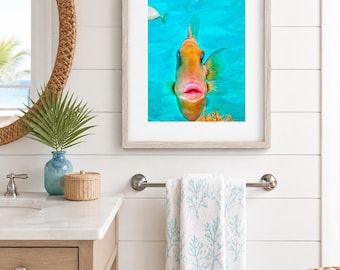 Colorful Fish Print, Coastal Wall Art, Fun Beach House Decor