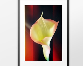 Floral Large Wall Art, Abstract Photography, Contemporary Decor,  Fine Art Print