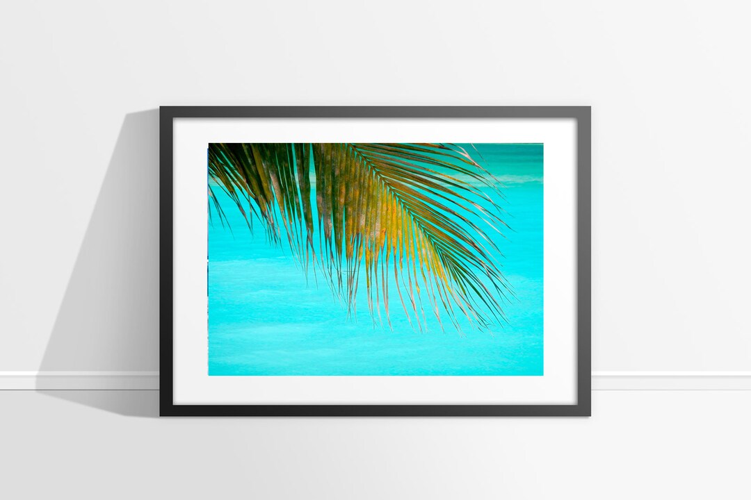 Aqua Blue Coastal Wall Art Bahamas Photography Beach House Etsy