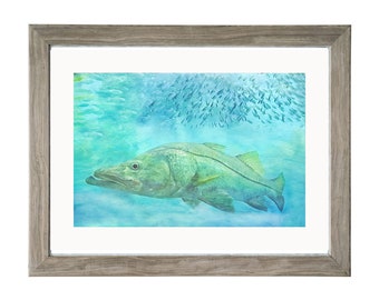 Underwater Fish Art, Snook Print, Florida Fish  Art, Key West Art