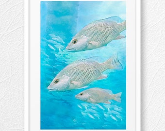 Fish Art Print, Underwater Fish Art, Underwater Coastal Art Print, Florida Wall Art Print, Coastal Fine Art