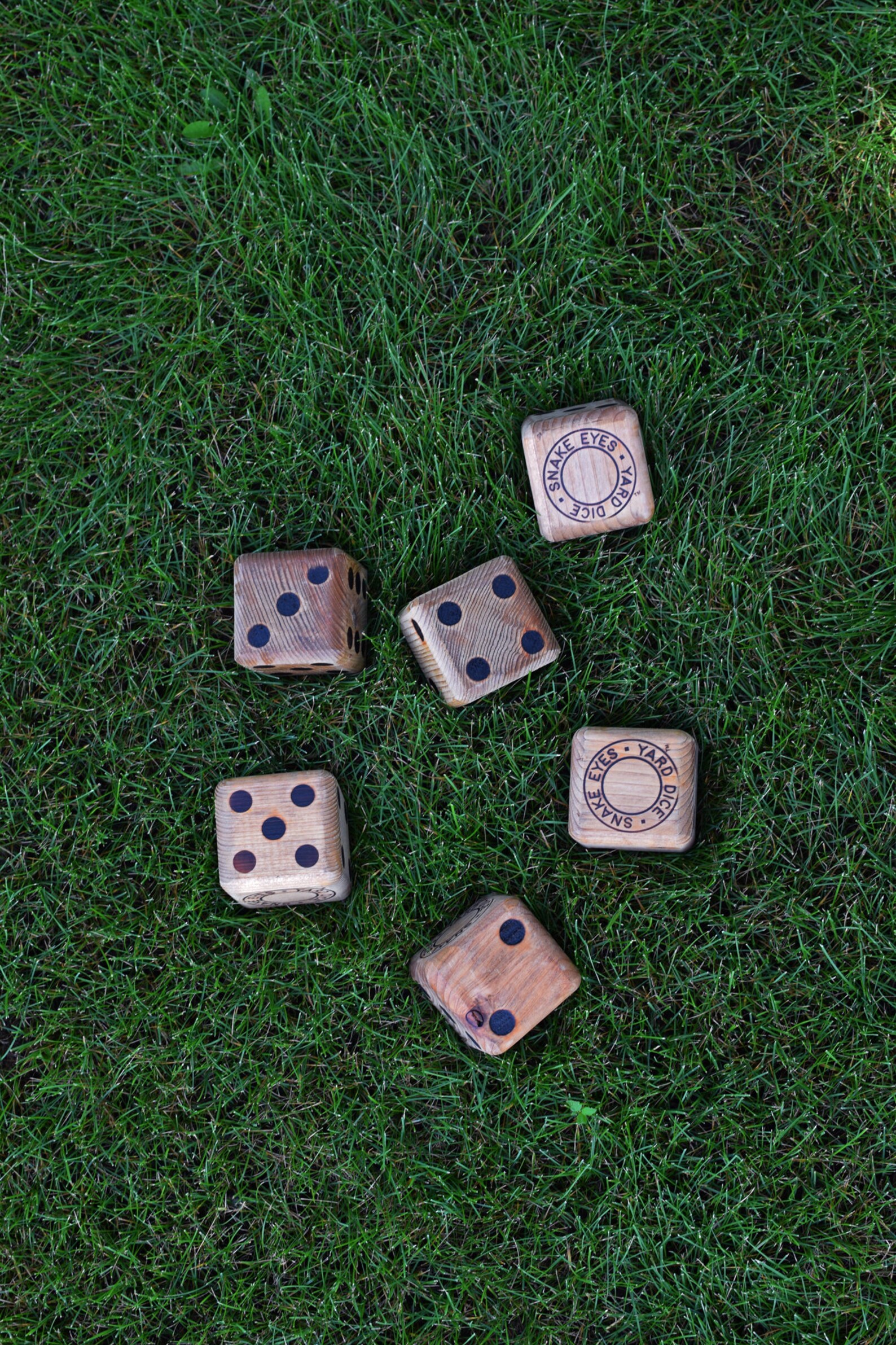 Snake Eyes Yard Games Starter Party Pack dice & Dominoes Made in USA