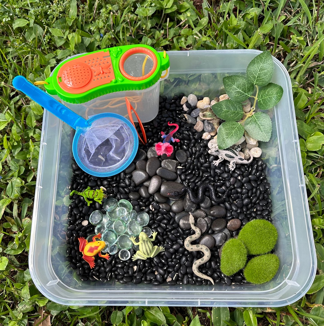 Reptile Sensory Bin Reptile Sensory Kit Animal Sensory Bin - Etsy