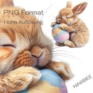 12 匹のかわいいイースターバニー、クリップアート、印刷可能なクリップアート、高品質の PNG、デジタルダウンロード、透明な背景、デジタルステッカー