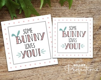 Easter Cookie Tag Some Bunny Loves You Printable | Happy Easter Gift Tag | 2" and 2.5" | Digital Download