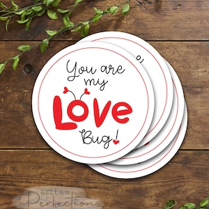 Puede incluir: Una pila de pegatinas redondas blancas con un borde rojo. El texto "You are my Love Bug!" está en negro y rojo. Las pegatinas están sobre una superficie de madera con hojas verdes.