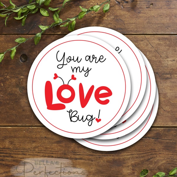 Love Bug Printable Valentine Tags | Gift Tag | 3 sizes included 1.5", 2" and 2.5" Circle | Cookie & Gift Bag Cards | Digital Download