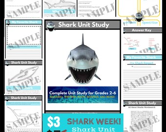Shark Unit Study - Grades 2 to 6 - Homeschool Curriculum - Instant Download - Homeschool Lesson - Shark Study Unit - Printable PDF