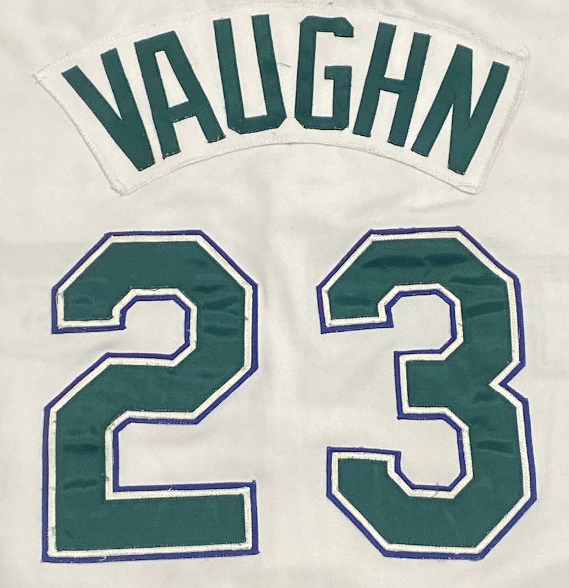 Vintage Tampa Bay Devil Rays #23 Greg Vaughn Jersey Made USA Size XXL 2XL MLB Baseball American League Bucs Florida 00S