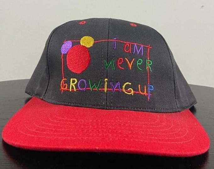Vintage Walt Disney World Snapback Hat Cap OSFA Made USA Magic Kingdom Disneyland Mickey Mouse