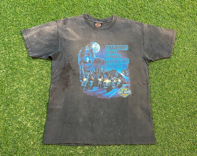 Vintage Harley Davidson Freedom T Shirt Tee Made USA Size Large L Motorcycle Bike Week HOG Massillon Ohio 1990s 90s