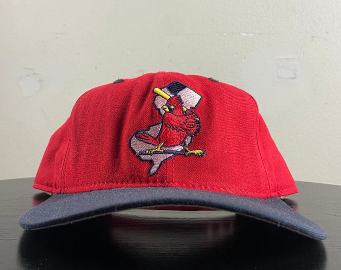 Vintage Minor League Baseball Snapback Hat New Era Made USA OSFA MLB Baseball 1990s 90s