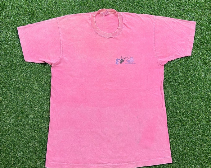 Vintage Jackson Hole T Shirt Tee Fruit of the Loom Made USA Size Xtra Large XL Wyoming 1990s 90s