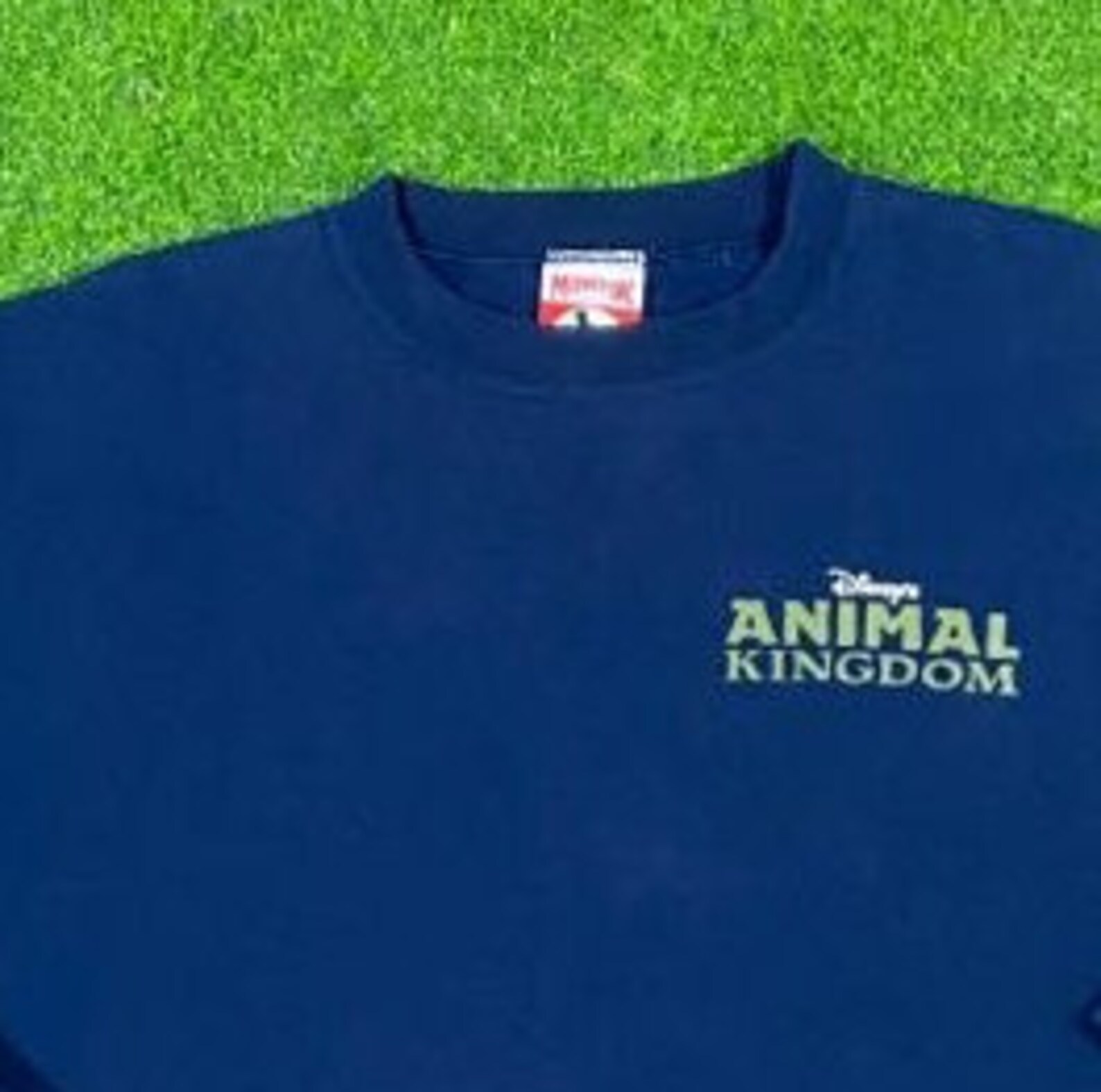 Vintage Disney Animal Kingdom Crewneck Sweatshirt 1990s Walt Etsy