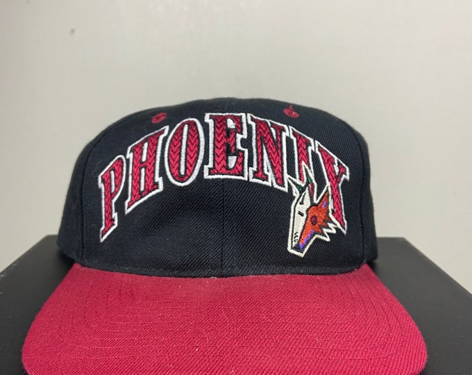 Vintage Arizona Coyotes Phoenix Hockey Snapback Hat Starter NHL Hockey Phoenix Yotes 1990s 90s